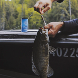 Inline Bass Formula Multi-Sensory Fish Attractant