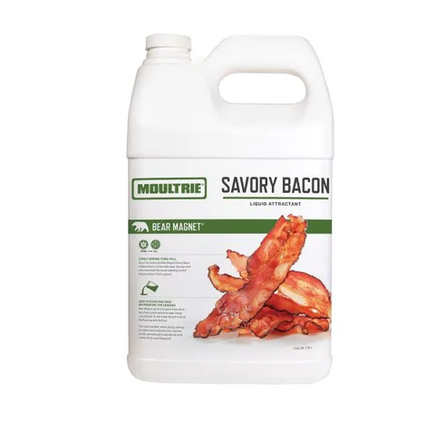 Bear Magnet Savory Bacon