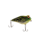 Frog-R