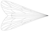 Caddis Wing