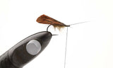 Caddis Wing