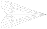 Caddis Wing
