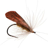 Caddis Wing