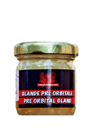 Pre-Orbital Gland