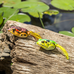 Compact Frog