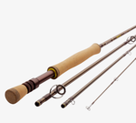 Path II Rod with Tube