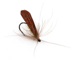 Caddis Wing