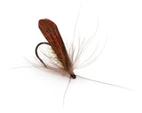 Caddis Wing