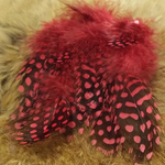 Guineafowl - Large Dot