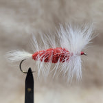 Salmon Bomber - Red Body, White Hackle/Wing/Tail