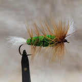 Salmon Bomber - Green Body, Brown Hackle