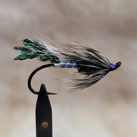 Blue Rat