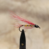 Parmachene Belle Wet