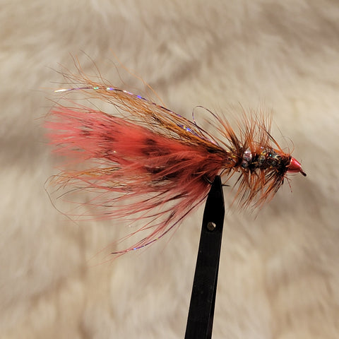 Orange Barred Bugger - Conehead