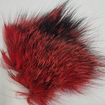 Gray Fox - Dyed