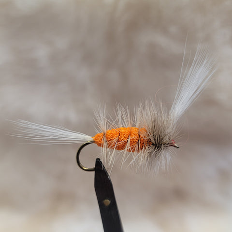 Salmon Bomber - Orange Body, Dun Hackle, White Tail/Wing