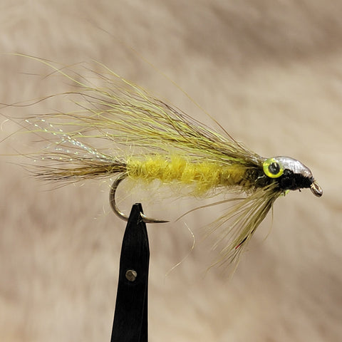 Olive Big Eye Minnow