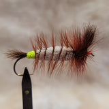 Salmon Bomber - Coachman Brown Hackle, Colored Butt