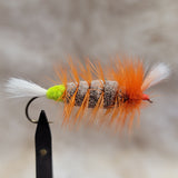 Salmon Bomber - Orange Hackle, Colored Butt
