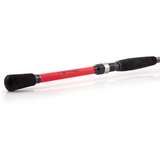 Ready2Fish Salmon Spinning Combo