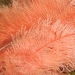 Spey Plumes