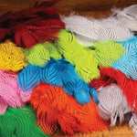 Silver Pheasant Feathers