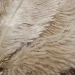 Spey Plumes