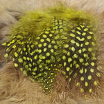 Guineafowl - Large Dot