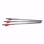 AirJavelin Air Archery Arrows With Field Tips 6-Pack