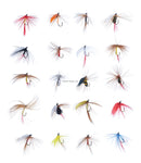 Trout Fly Assortment