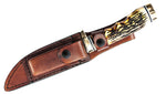 Golden Spike Rat Tail Tang Fixed Blade Knife