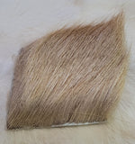 Elk Body Hair