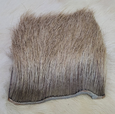 Elk Body Hair