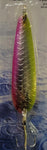 Salmon King Lures