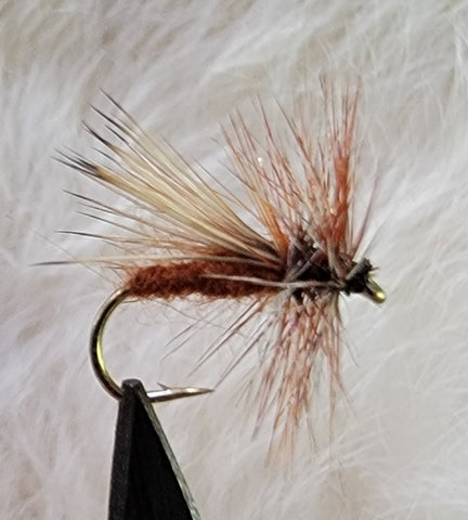 Woodchuck Caddis