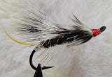 Black Rat