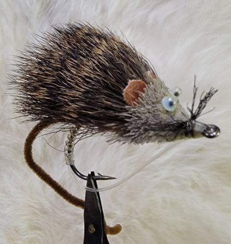 Mouse / Rat