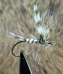 Mosquito