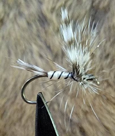 Mosquito