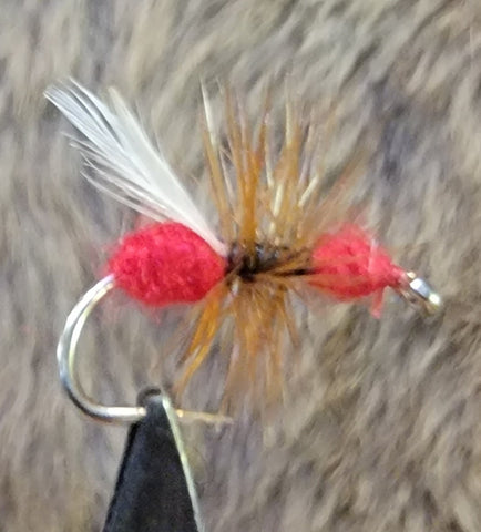 Red Ant