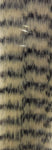 Grizzly Fibre