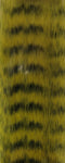 Grizzly Fibre