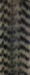 Grizzly Fibre