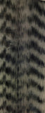 Grizzly Fibre