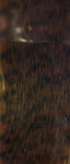 Grizzly Fibre