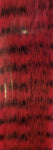 Grizzly Fibre