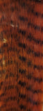 Grizzly Fibre