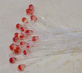 Epoxy Mono Shrimp Eyes