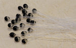 Epoxy Mono Shrimp Eyes