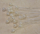 Epoxy Mono Shrimp Eyes